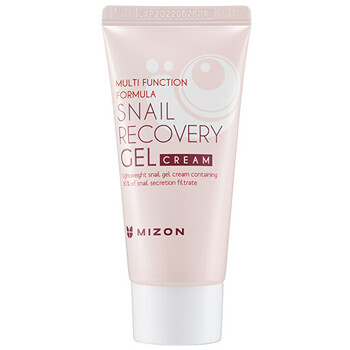 Snail Recovery Gel Cream (problematická pleť) - Pleťový gél s filtrátom hlemýždího sekrétu 74%